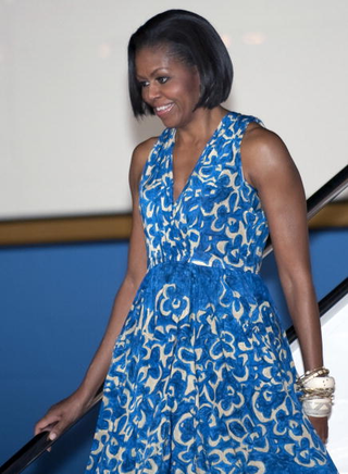 Illustration for article titled Shopping for the First Lady